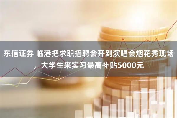 东信证券 临港把求职招聘会开到演唱会烟花秀现场，大学生来实习最高补贴5000元